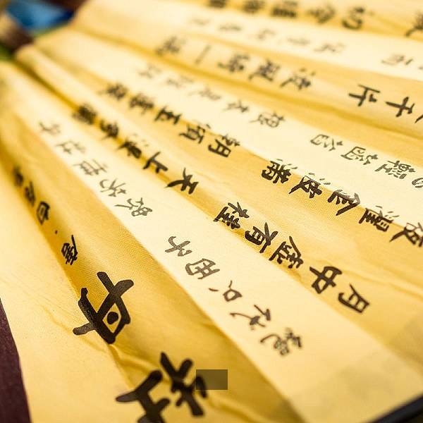 微鸟网络科技