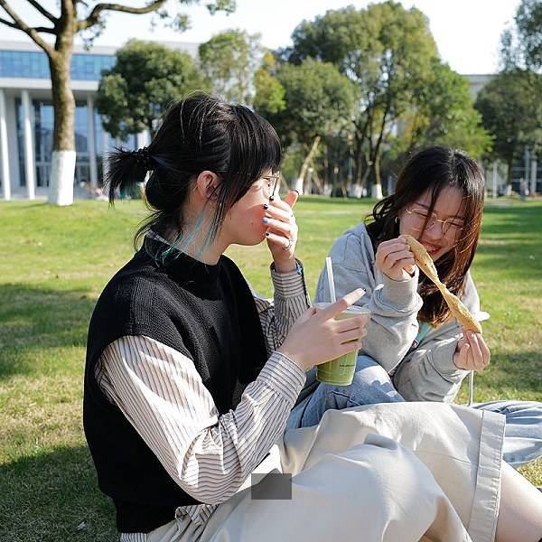 微鸟网络科技